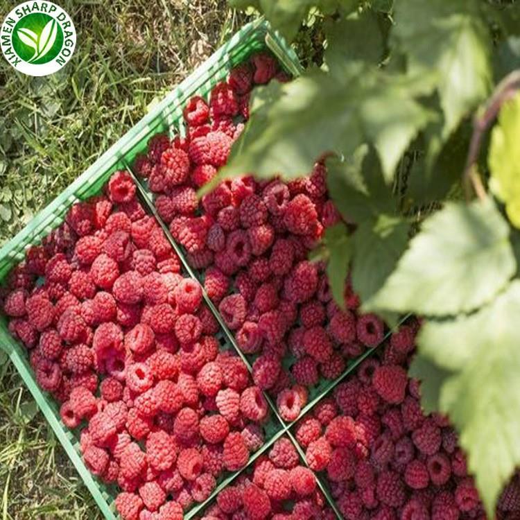raspberries from fruit