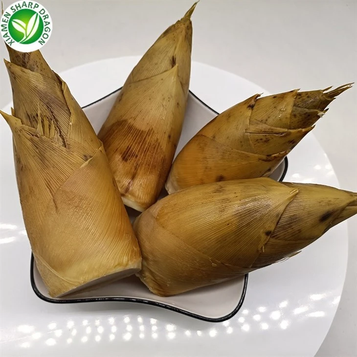 Spring bamboo shoots