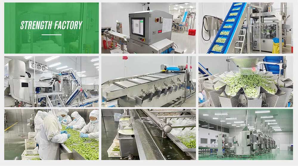 Frozen Bamboo Shoots Factory Processing Support XMSDfood frozen bamboo shoots factory processing support