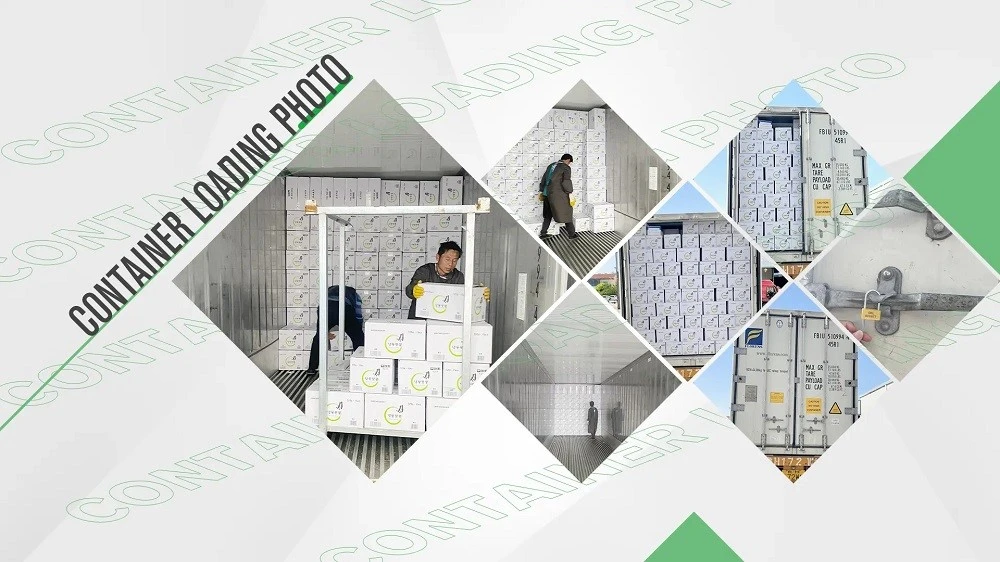 Frozen Bamboo Shoots Supply Capability Frozen bamboo shoots production and supply capability for export buyers