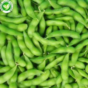 Замразени доставчици на зърна Edamame Bean