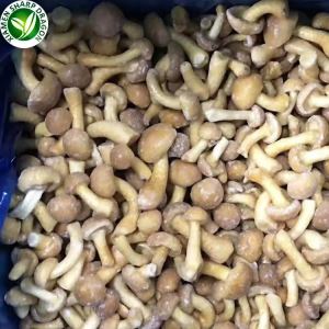 С вкус на гъби Nameko