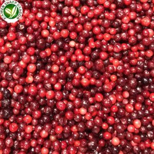 Купете замразени Lingonberry