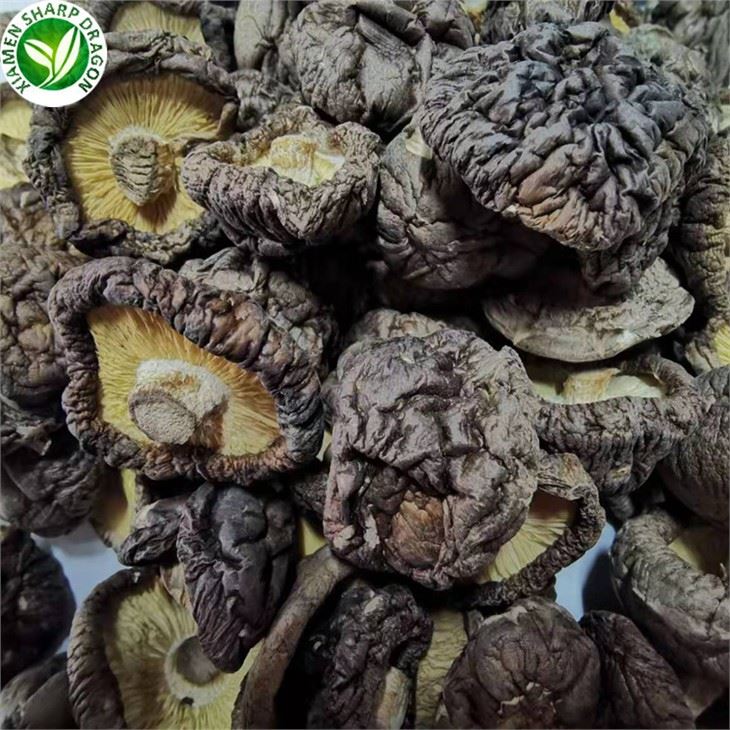 Dried Mushrooms Coles