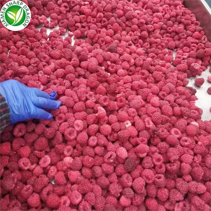 IQF Whole Red Raspberries 10 × 10 mm for Cake Decoration